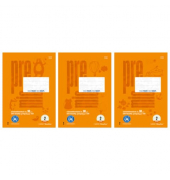 Arbeitsblock A4 50BL 4mm lin. orang