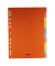 Kartonregister 8670030-99, 10-teilig blanko, A4, 215 g/m&sup2;, farbige Taben, 10-teilig