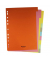 Kartonregister 8670030-99, 215 g/m²