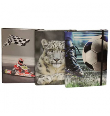 Heftbox 2056338-99 farbig sortiert, Karton papierkaschiert