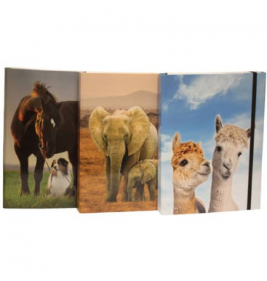 Heftbox 2056339-99 farbig sortiert, Karton papierkaschiert