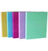 Ringbuch 2764341-99, A4 2 Ringe 25mm Ring-Ø Karton farbig sortiert