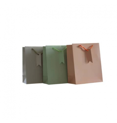 Geschenktasche 55015, allgemein, Tragekordel mit Anhänger, einfarbig, 180mm x 230mm