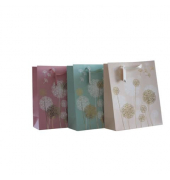 Geschenktasche 55019, allgemein, mit Goldfolie veredelt,Schleifenband mit Anhänger, Pusteblaume, 260mm x 32cm