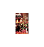 Weihnachtskarte ohne Text