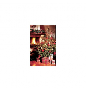 Weihnachtskarte ohne Text