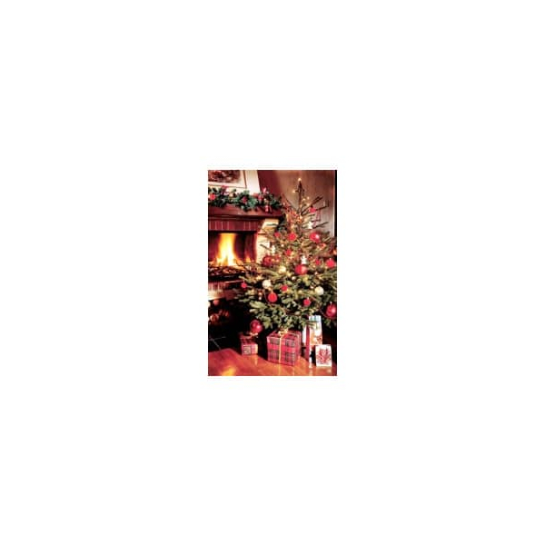 5 Stück Alpedia Weihnachtskarte ohne Text 9004546552338 Head