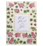 Gl&uuml;ckwunschkarten 24-R101 bunt