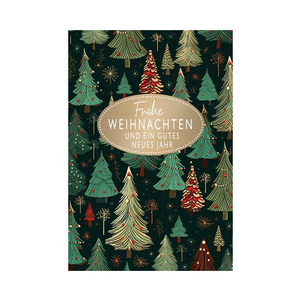 6 Stück Alpedia Weihnachtsgeldscheinkarte 9004546552499 Head