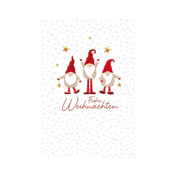 6 Stück Alpedia Weihnachtsgeldscheinkarte 9004546552505 Head