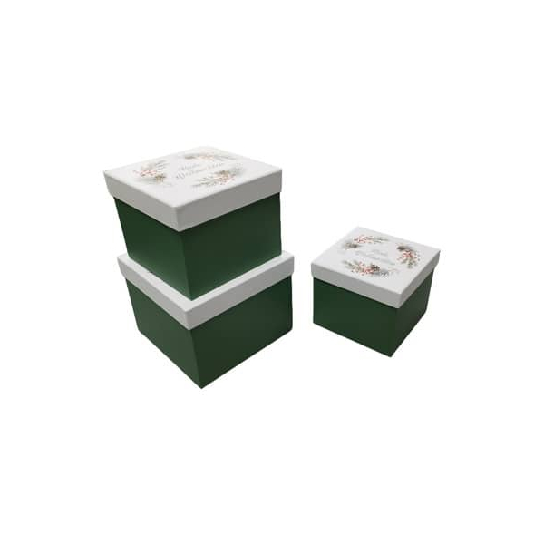 9004546554783 - WeihnGeschenkkarton Zweige weißgrün 9004546554783 PBs 9004546554783 - WeihnGeschenkkarton Zweige weißgrün 9004546554783 PBs