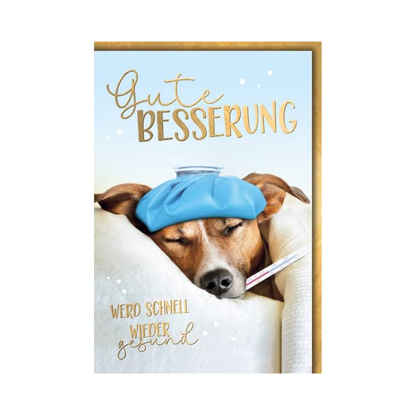 5 Stück Alpedia Glückwunschkarten 42542 11,5x17 cm 115mm x 170mm (BxH) bunt 9004546562658 Alpedia