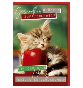 Geburtstagskarten 551339 11,5x17 cm 115mm x 170mm (BxH) Katze bunt