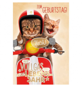 Geburtstagskarten 51-1297 bunt