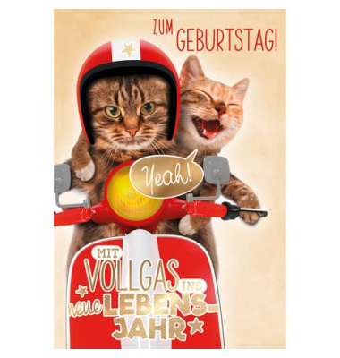 Geburtstagskarten 51-1297 bunt
