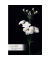 Trauerkarten 81-3932 11,5x17cm 115mm x 170mm (BxH) bunt