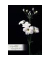 Trauerkarten 81-3932 11,5x17cm 115mm x 170mm (BxH) bunt