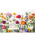 Geburtstagskarten 51-10667 17x11,5cm 170mm x 115mm (BxH) bunt
