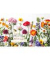 Geburtstagskarten 51-10667 17x11,5cm 170mm x 115mm (BxH) bunt