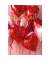Glückwunschkarten 91-2254 11,5x17cm 115mm x 170mm (BxH) bunt