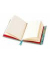 Notizbuch FTNB313, bunt, A5, liniert, 80g, 88 Blatt / 176 Seiten
