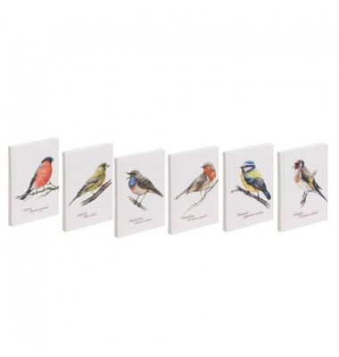 Notizbuch 26108-25, farbig sortiert, A6, punktkariert, 64 Blatt / 128 Seiten
