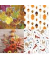 Motivserviette 33x33cm Herbst sortiert