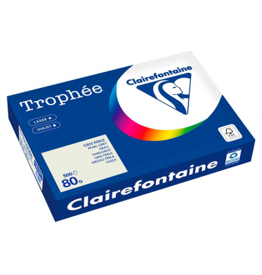 Kopierpapier Trophee 1251C grau A3 80g 