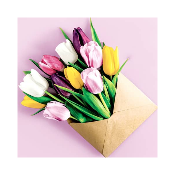 7321012088170 - Motivserviette 33x33cm Frühjahr 7321012088170 PAPER+DESIGN 7321012088170 - Motivserviette 33x33cm Frühjahr 7321012088170 PAPER+DESIGN