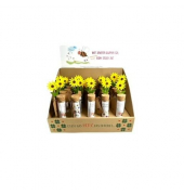 Geldgeschenkglas mit Blume sortiert
