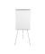 Flipchart Biofusion, PEA23060434, 70x100cm, silber, mit Beinen, mit 2 Seitenarmen