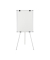 Flipchart Earth Kyoto, EA14406174, 70x100cm (BxH), grau, mit Beinen