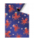 Geschenkpapier 2528 1626 99, bunt