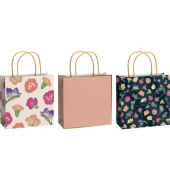 Geschenktasche 2543 5170 99 Nature - Maila, allgemein, mit Tragekordel, 3 Motive sortiert / Blumen, 20cm x 20cm
