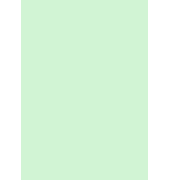 Kopierpapier Color 451607 hellgrün A4 80g 