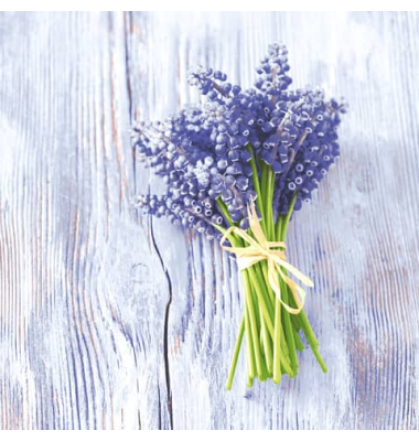 Motivservietten 208815, mehrfarbig / Muscari-B&uuml;ndel, 3-lagig, 33x33cm