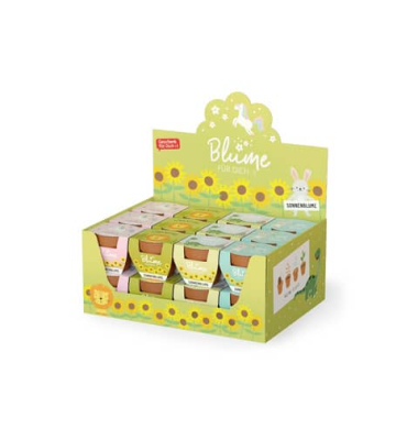 Blume im Topf Kleine Lieblinge sortiert
