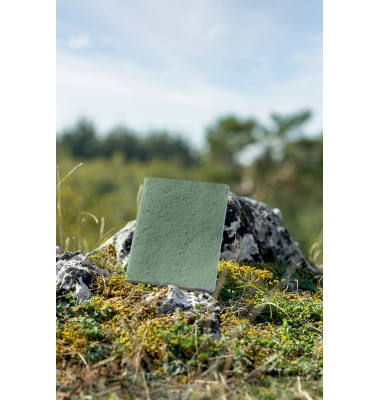 Notizbuch RU103, RE-UP, gr&uuml;n, A5, liniert, 100g, 50 Blatt / 100 Seiten