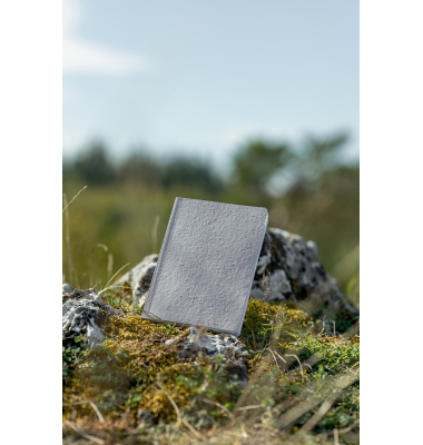 Notizbuch RU101, RE-UP, grau, A5, liniert, 100g, 50 Blatt / 100 Seiten