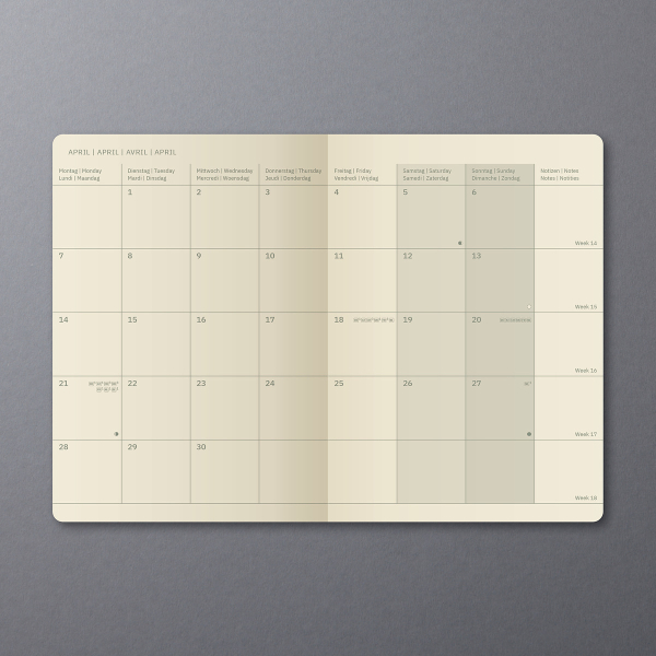 Taschenkalender Conceptum 2025 Format A6 Kalendarium in DE EN FR NL Monats- & Jahresübersichten Feiertage & Ferien 64 Seiten Papier schwarz
