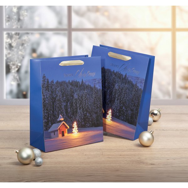 70 Stück Sigel Geschenktasche groß - blau  - mit Bodeneinlage und farblich abgestimmten Seidenbandgriffen - Papier - 26 x 33 cm 4004360781247 S