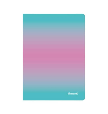 Notizbuch 300002304, bunt, A5, kariert, 70g, 80 Blatt / 160 Seiten