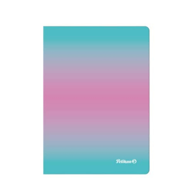 Notizbuch 300002311, bunt, A6, kariert, 70g, 80 Blatt / 160 Seiten