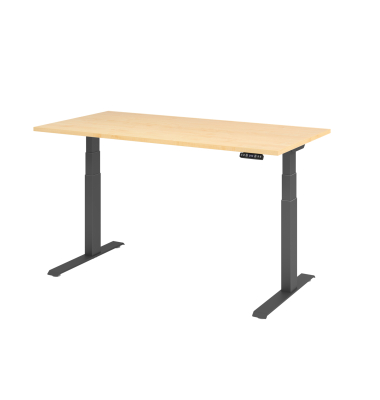 Schreibtisch Basic, elektrisch h&ouml;henverstellbar, 64-129cm (H), 160x80cm (BxT), rechteckig, ahorn / graphit