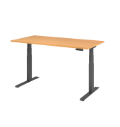 Schreibtisch Basic, elektrisch h&ouml;henverstellbar, 64-129cm (H), 160x80cm (BxT), rechteckig, buche / graphit
