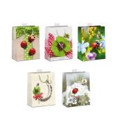 Geschenktasche 9975-0013-M, Gl&uuml;ck, 230mm x 180mm