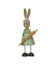 Osterhase mit Brille grünorange