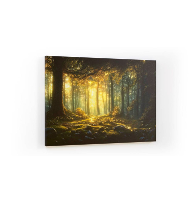 Magnettafel CANVASboards Märchenwald 90,0 x 60,0 cm