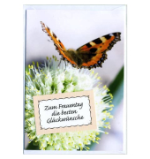 Glückwunschkarten 16-1306 bunt