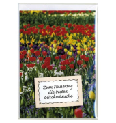 Glückwunschkarten 16-1304 bunt